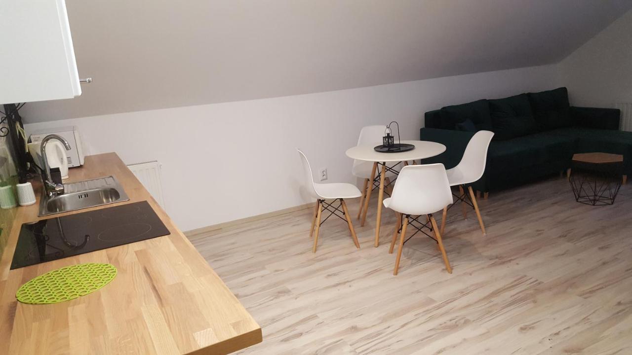 Apartamenty - Pod Wierzbami Dwikozy Exterior photo