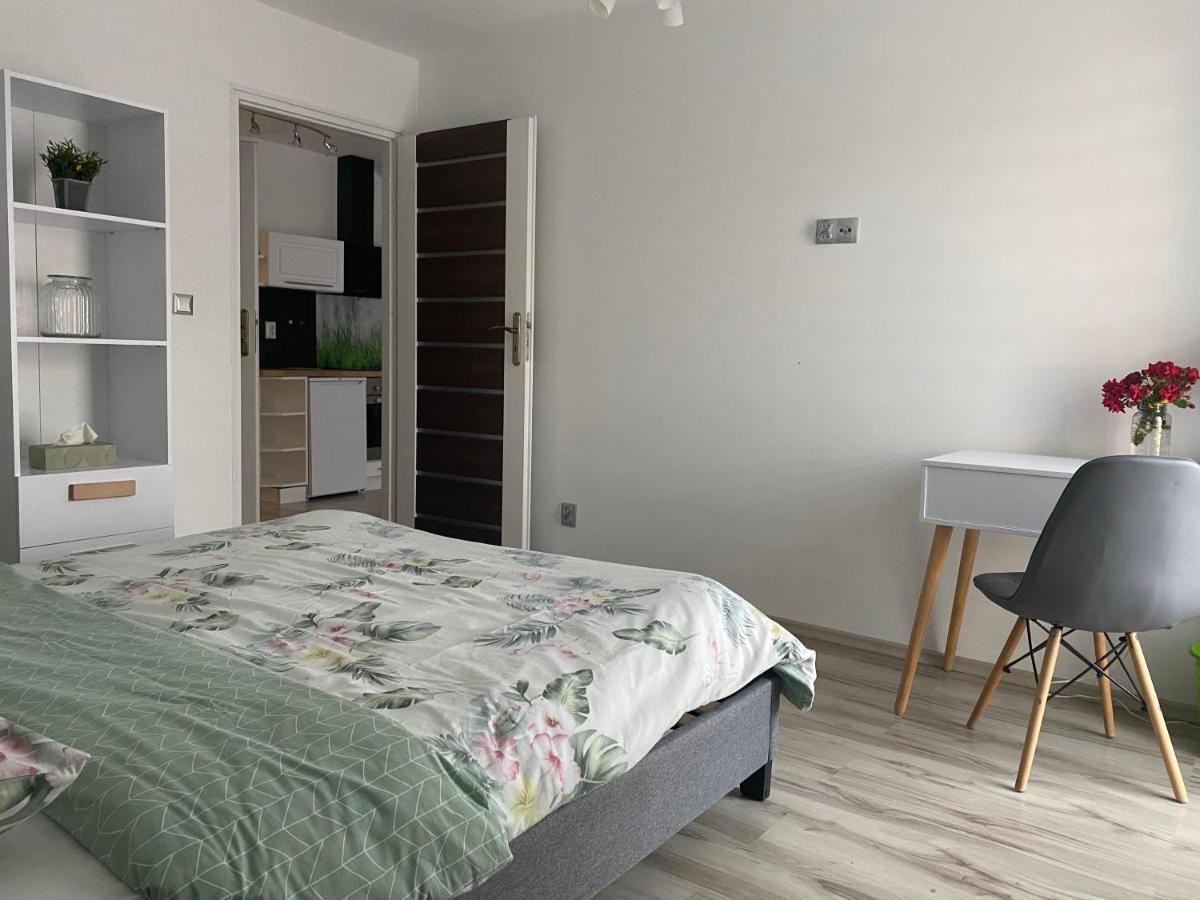 Apartamenty - Pod Wierzbami Dwikozy Exterior photo